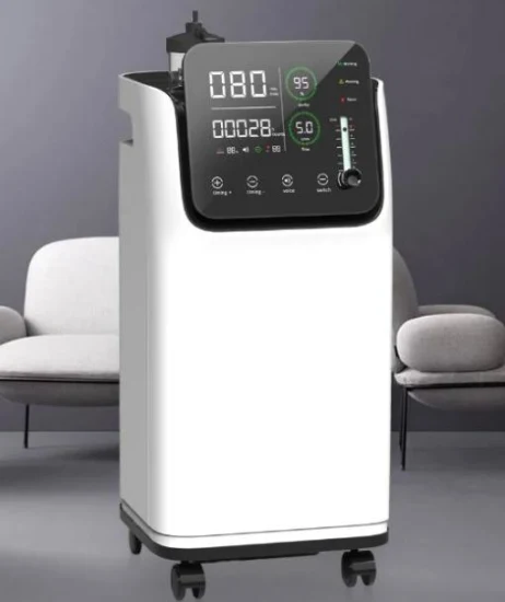 Concentratore di ossigeno medico Generatore di ossigeno Concentratore di ossigeno 10 litri Cina